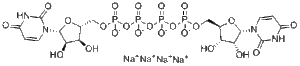 Diquafosol Tetrasodium (INS365)