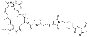 SMCC-DM1