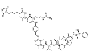 VcMMAE (mc-vc-PAB-MMAE)