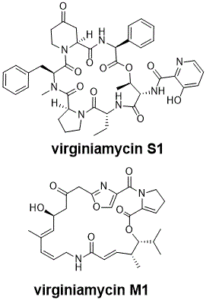 Pristinamycin (NSC-246121)