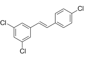 PDM2