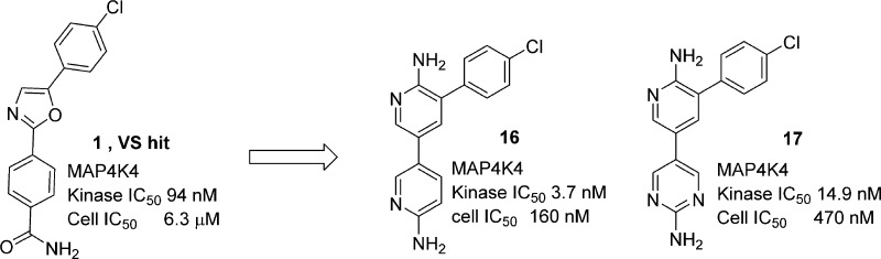 ACS Med Chem Lett. 2015 Oct 6;6(11):1128-33.