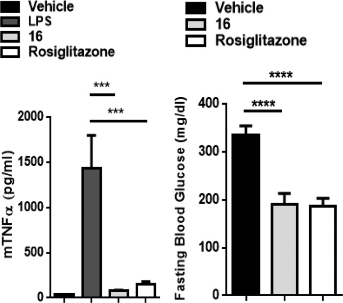 (a) Effects of 16 (PF-06260933 ) on LPS-induced TNFα levels in C57-BL/6J mice). (b) Effects of 16 on glycemic control in ob/ob mice. ACS Med Chem Lett. 2015 Oct 6;6(11):1128-33.