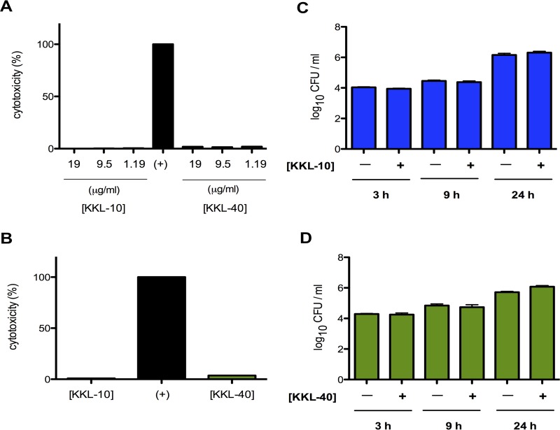 KKL-10 and KKL-40 do not show cytotoxic effects on macrophages. Antimicrob Agents Chemother. 2016 May 23;60(6):3276-82.