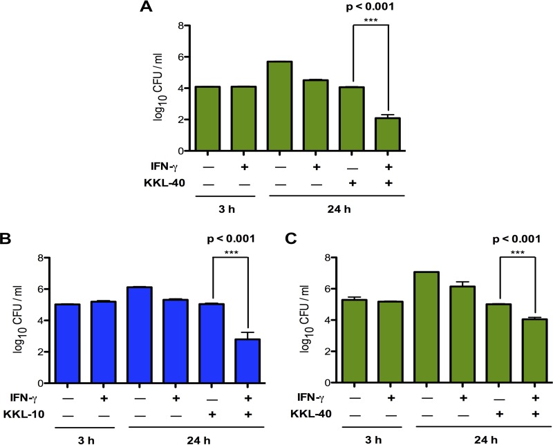 Effects of KKL-10 and KKL-40 on LVS in macrophages prestimulated for 12 h with IFN-γ.Antimicrob Agents Chemother. 2016 May 23;60(6):3276-82.