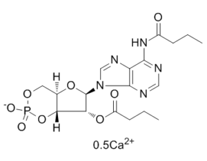 Bucladesine calcium (DC2797)
