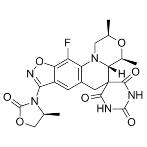 Zoliflodacin