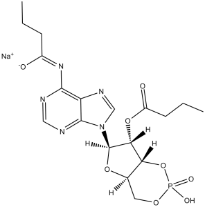 Dibutyryl-cAMP (Bucladesine sodium)