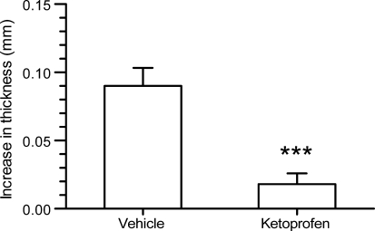 Anti-inflammatory effect of 2.5% ketoprofen gel given 3 h before administration of arachidonic acid. Arch Dermatol Res. 2012 May;304(4):313-7.