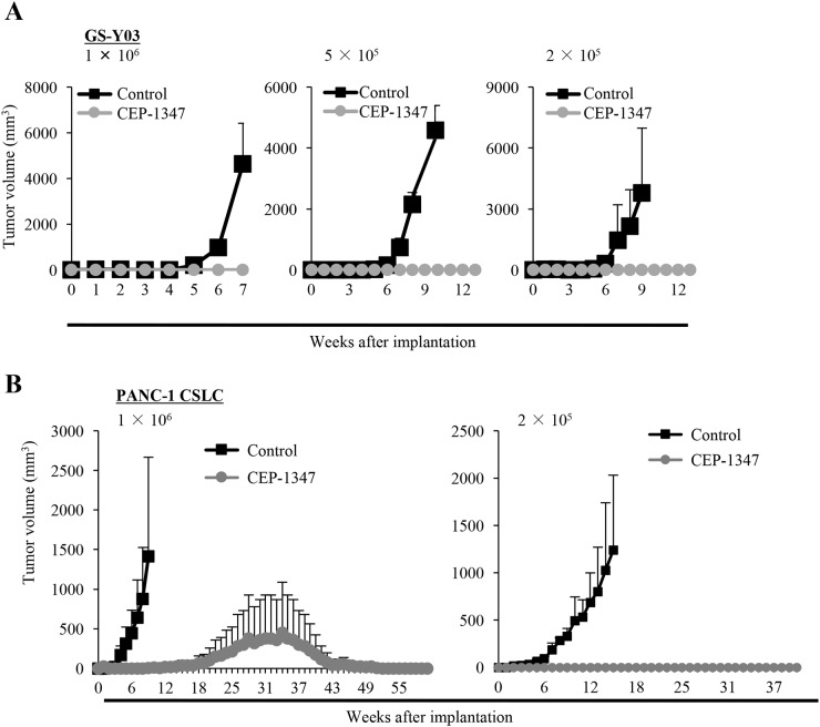 CEP-1347 inhibits the tumor-initiating capacity of cancer stem cells. Oncotarget. 2017 Oct 24;8(55):94872-94882.