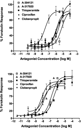 A-304121 and A-317920 block (R)-α-MeHA reversal of forskolin-stimulated cAMP formation in a concentration-dependent manner in C6 cells stably expressing the full-length human (top panel) and rat (bottom panel) histamine H3LRs. J Pharmacol Exp Ther. 2003 Jun;305(3):887-96.