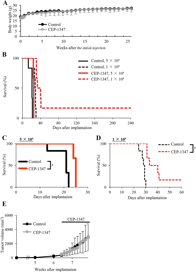 Systemically administered CEP-1347 selectively targets and inhibits tumor-initiating cancer stem cells within tumors in tumor-bearing mice. Oncotarget. 2017 Oct 24;8(55):94872-94882.