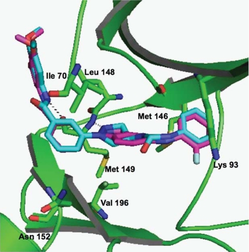 Overlay of SR-3737 (magenta) and SR-3451 (cyan) structures. J Biol Chem. 2009 May 8;284(19):12853-61.