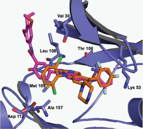 Overlay of SR-3737 (magenta) with compound 14e (orange) from PDB ID 1M7Q (). J Biol Chem. 2009 May 8;284(19):12853-61.