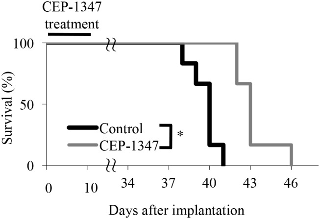 Short-term systemic CEP-1347 treatment inhibits tumor formation by glioma stem cells in an orthotopic brain tumor model. Mice implanted intracranially with GS-Y03 cells underwent a daily i.p. injection of CEP-1347 (1.5 mg/kg/day) for 10 days. Oncotarget. 2017 Oct 24;8(55):94872-94882.