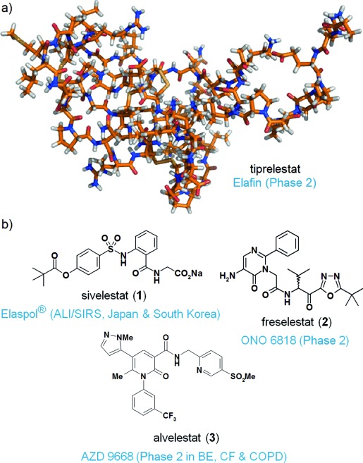 Selection of HNE inhibitors that have reached clinical development. ChemMedChem. 2015 Jul;10(7):1163-73.