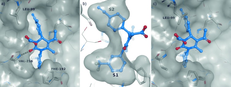 Induced-fit binding mode. Protease (HNE) residues are shown in stick representation (white) with transparent Connolly-like surface.[], [] Ligand 19 (purple) is shown in ball-and-stick model (oxygen: red, nitrogen: blue, fluorine: cyan); hydrogen bonds are depicted as broken yellow lines. a) Structure of HNE in complex with 19. Ligand 19 interacts with HNE by a hydrogen bond (3.1 Å) formed between the C2 carbonyl oxygen atom of the central pyrimidine ring and the Val216 backbone amide of HNE. ChemMedChem. 2015 Jul;10(7):1163-73.