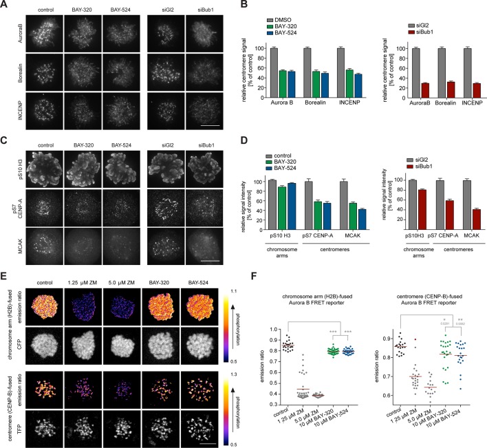 Bub1 inhibition affects localization and activity of the CPC. Elife. 2016 Feb 17;5. pii: e12187.