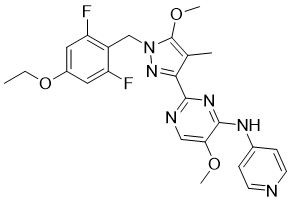 BAY-524