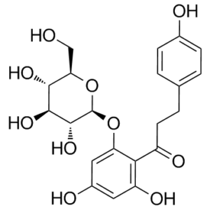 Phlorizin (Floridzin; NSC 2833)