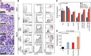 UM171 attenuates cell differentiation and promotes ex vivo expansion of primitive human hematopoietic cells. Science. 2014 Sep 19;345(6203):1509-12.