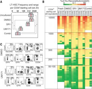 UM171 promotes expansion of LT-HSCs. Science. 2014 Sep 19;345(6203):1509-12.