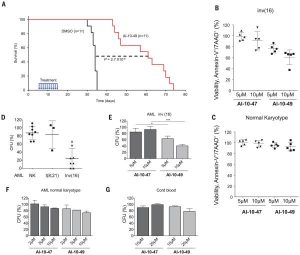 Activity of AI-10-49 in inv(16)mousemodel and inv(16) AML patient samples. Science. 2015 Feb 13;347(6223):779-84.