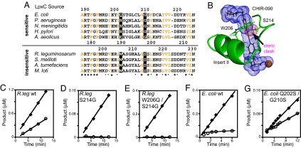 LpxC Insert II residues in the hydrophobic passage are critical for CHIR-090 resistance and time-dependent inhibition.