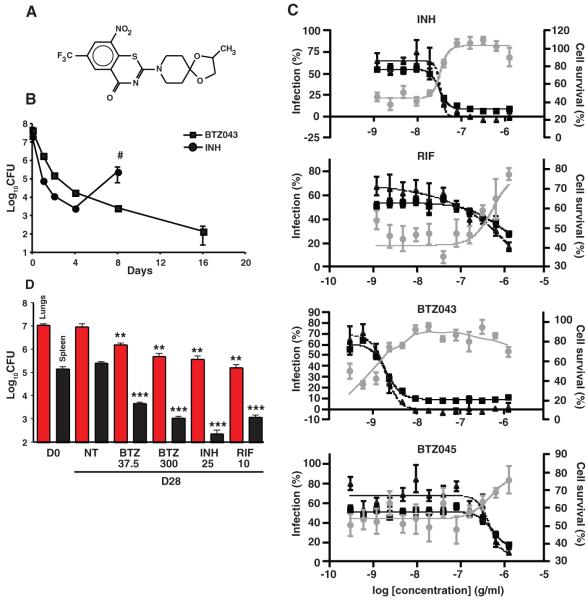 Comparative BTZ efficacy in in vitro, ex vivo, and mouse models. Science. 2009 May 8;324(5928):801-4.