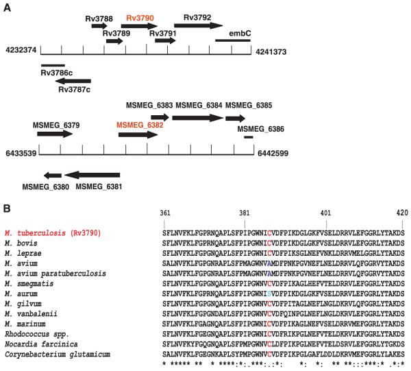 Identification of the BTZ target. Science. 2009 May 8;324(5928):801-4.