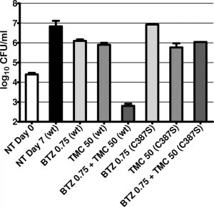 Impact of DprE1 inhibition on the synergy between BTZ043 and TMC207. Antimicrob Agents Chemother. 2012 Nov;56(11):5790-3.