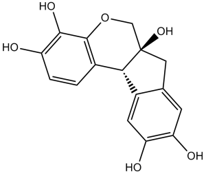 Hematoxylin (Haematoxylin)