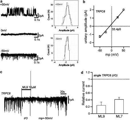 Effects of ML-9 and ML-7 on single TRPC6 channels. Br J Pharmacol. 2007 Sep;152(1):122-31.