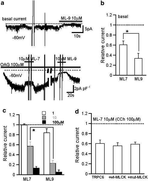 Activation mode of TRPC6 did not affect the efficacy of ML-9 and ML-7.