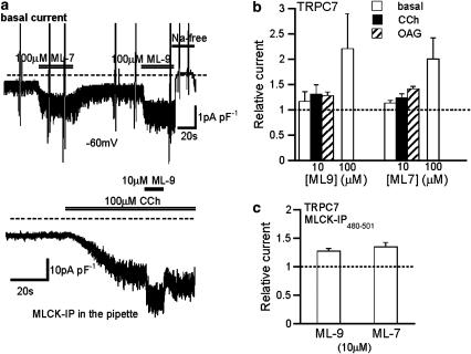 Enhancing actions of ML-compounds on macroscopic TRPC7 current (ITRPC7). Conventional whole-cell recording at −60 mV with Ca2+-free external solution. Br J Pharmacol. 2007 Sep;152(1):122-31.