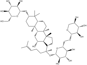 Gynostemma Extract (Ginsenoside C-Mx1)