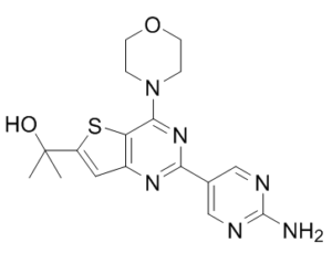 GNE-493