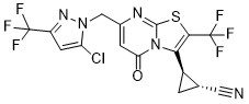 GNE-0723