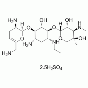 Netilmicin Sulfate (SCH-20569)