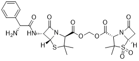 Sultamicillin