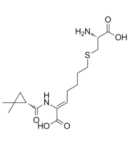 CILASTATIN