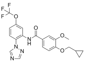 VU6012962