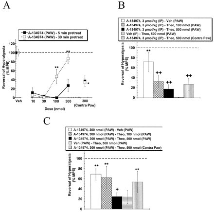 Intraplantar effects on carrageenan-induced inflammatory hyperalgesia. J Pharmacol Exp Ther. 2001 Feb;296(2):501-9.