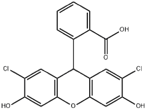 2`,7`-dichlorodihydrofluorescein