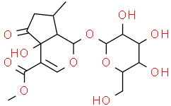 Hastatoside