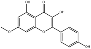 Rhamnocitrin