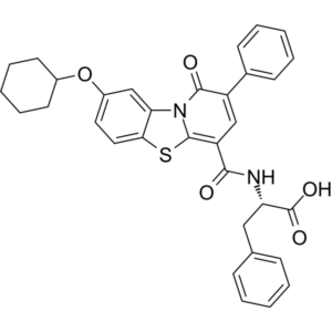 RdRP-IN-2
